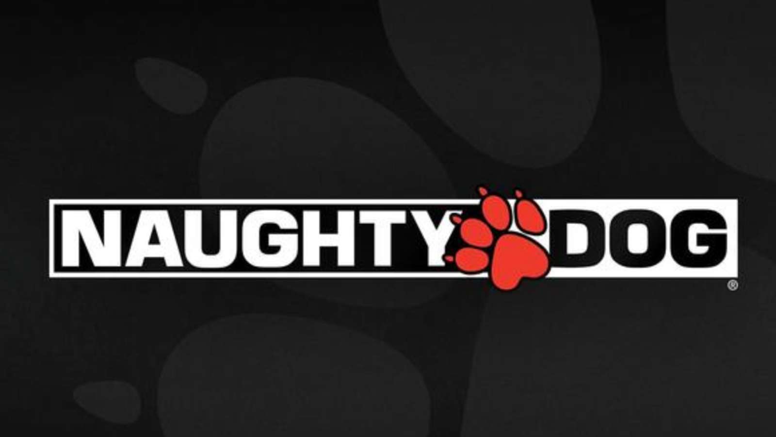 naughty dog nuevo juego