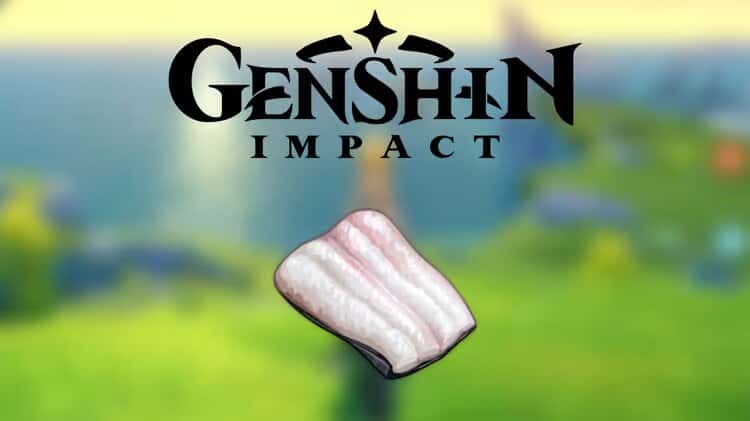 Carne de anguila en Genshin Impact ubicación