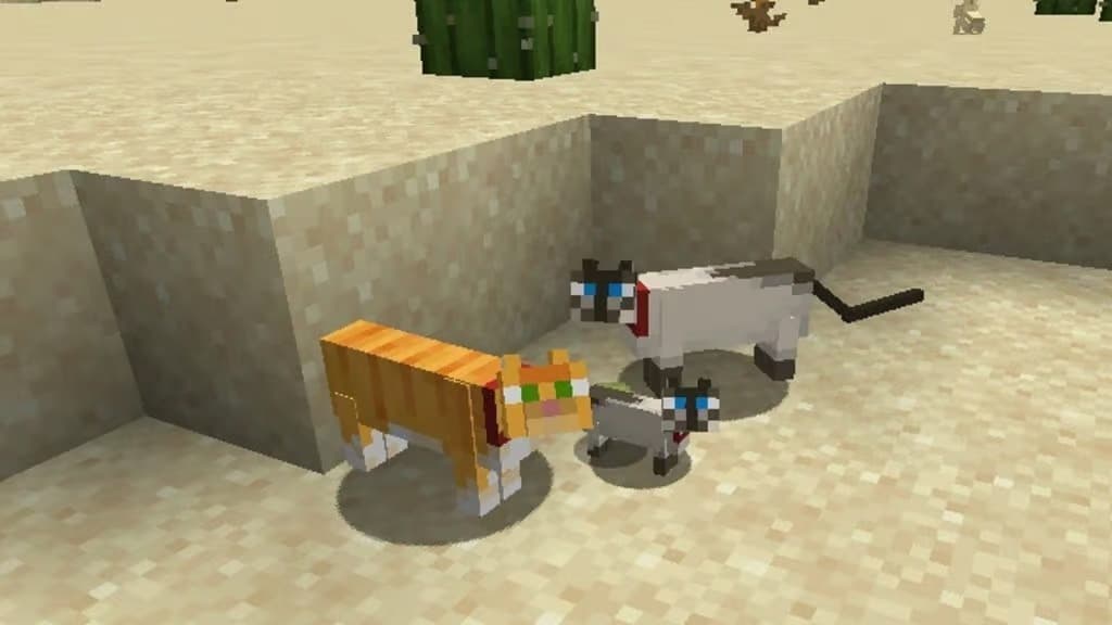 gatos minecraft