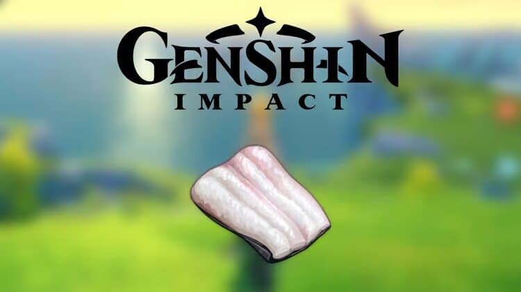 Carne de anguila en Genshin Impact ubicación