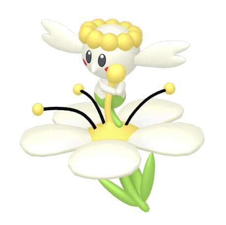 flor blanca flabébe